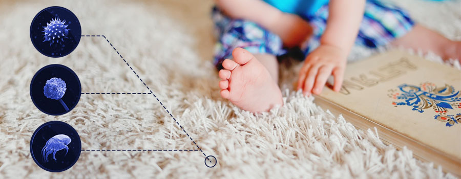 Eryaman Halı Yıkama Hizmeti